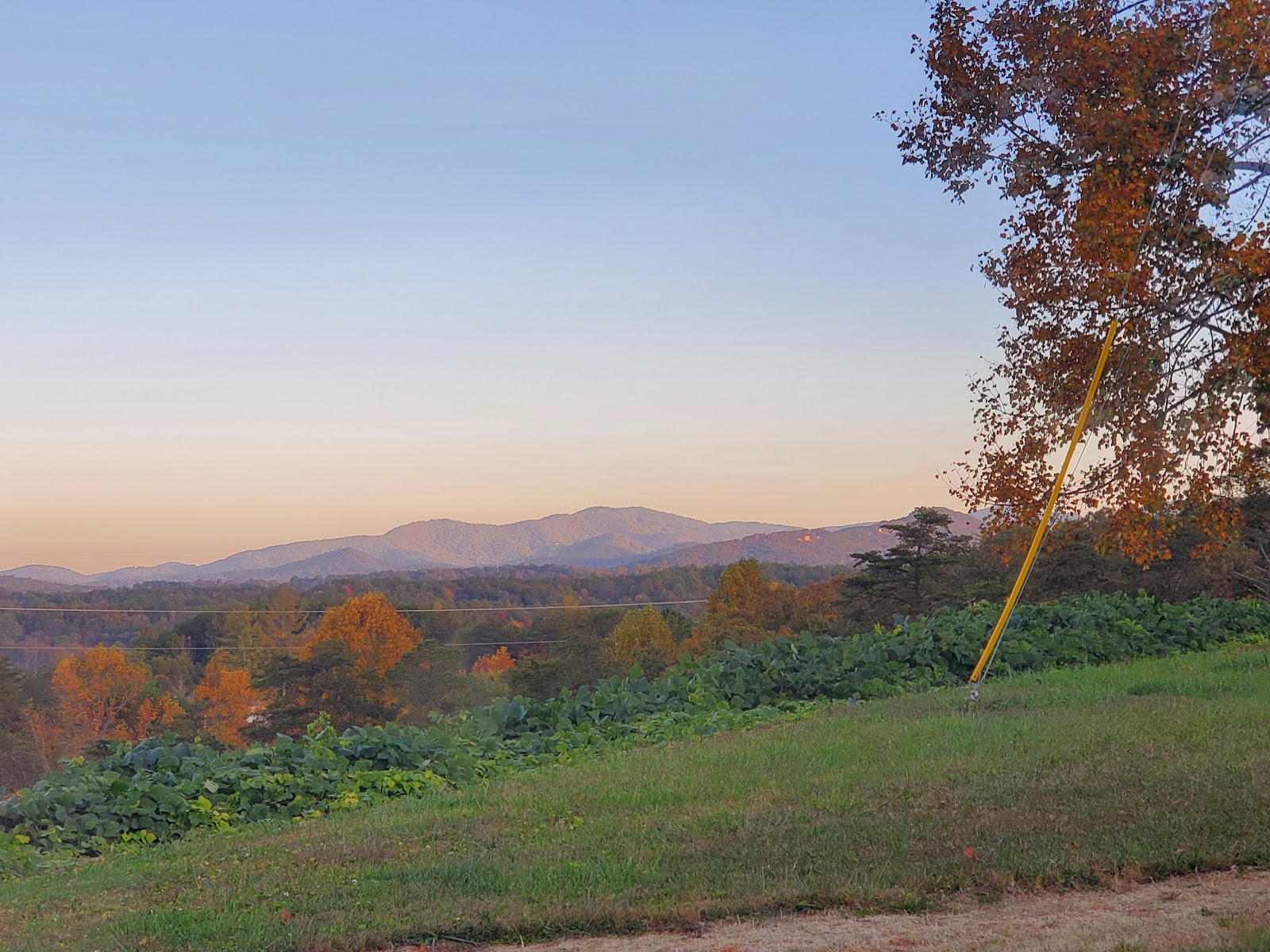 Blue Ridge Lodge and RV Park