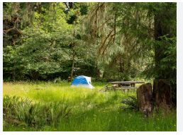 HOH River Resort & RV Park