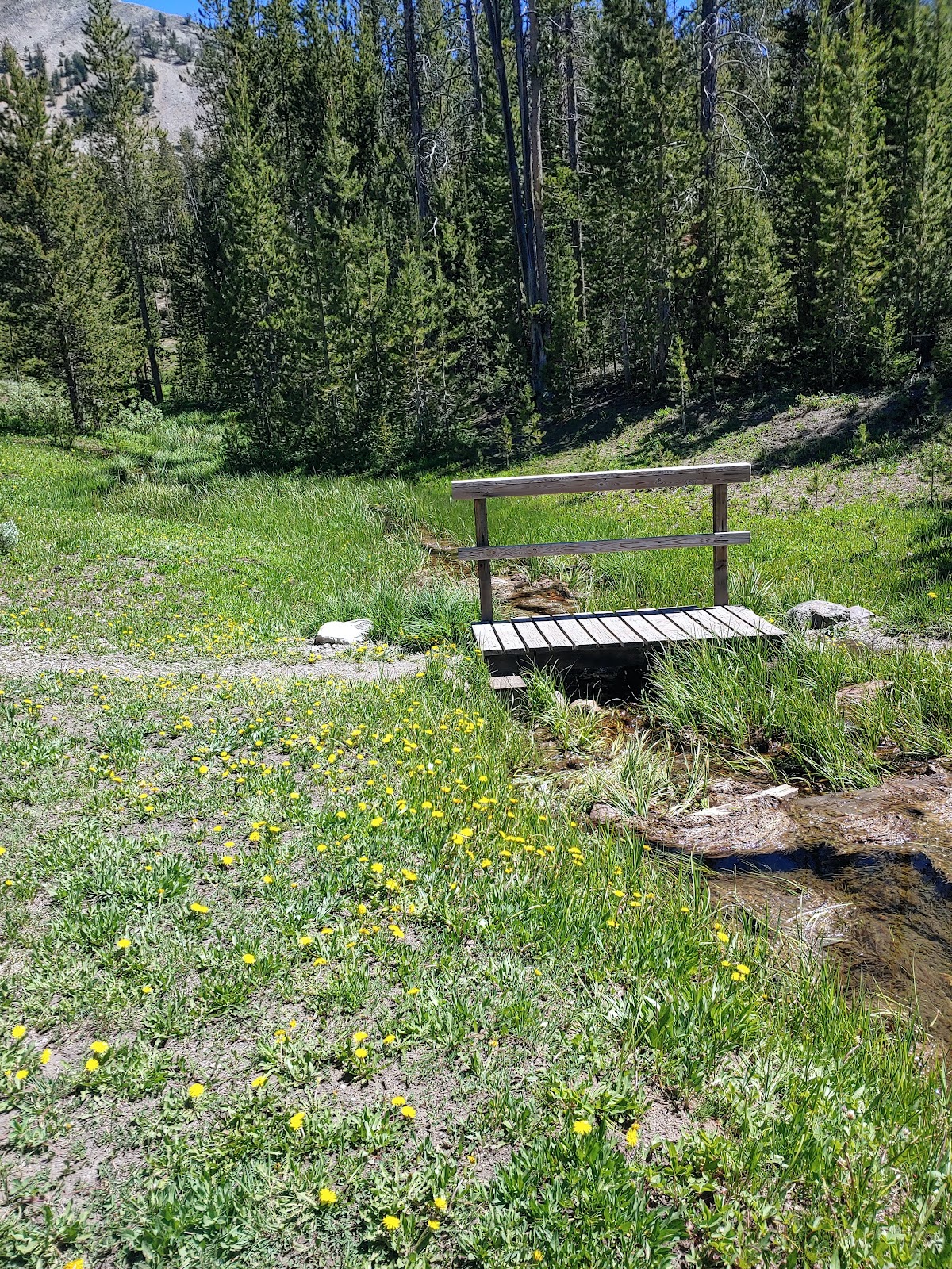 Little Bayhorse Campground