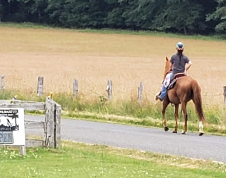 Last Chance Camp Equine and Rest Stop