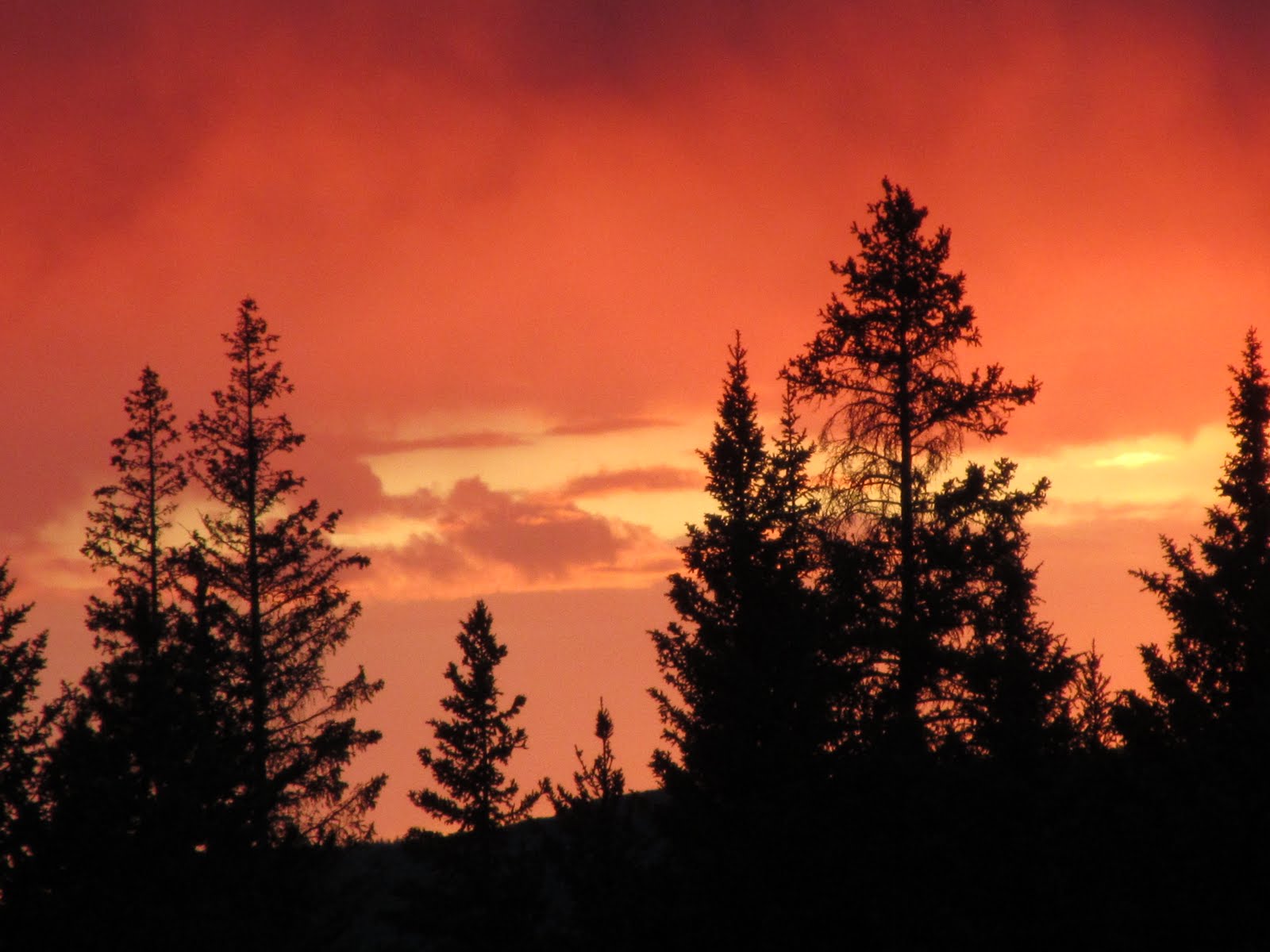 Ranger Creek South Campground