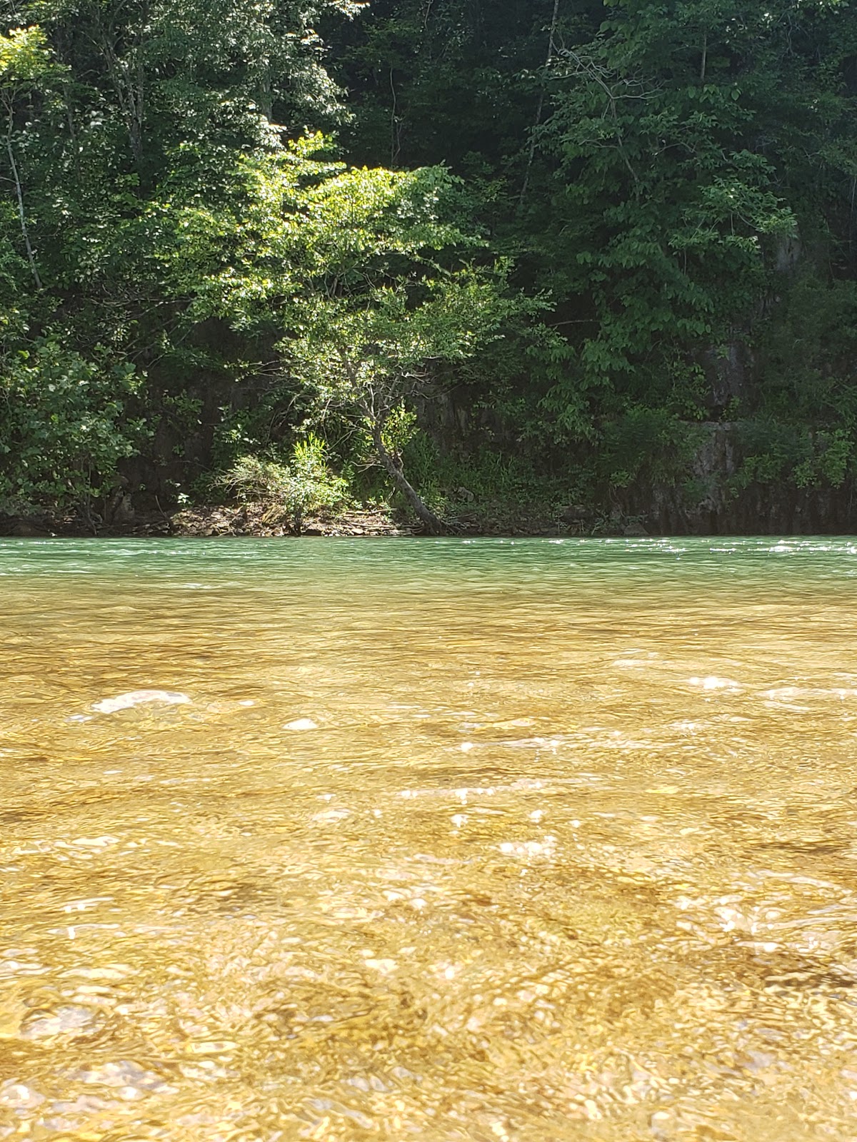 Jellystone Park Camp-Resort