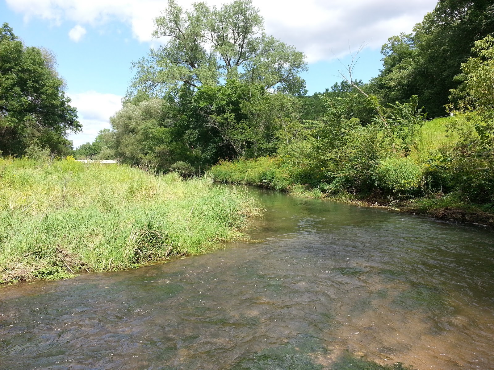 Lazy D Campground & Trail Rides