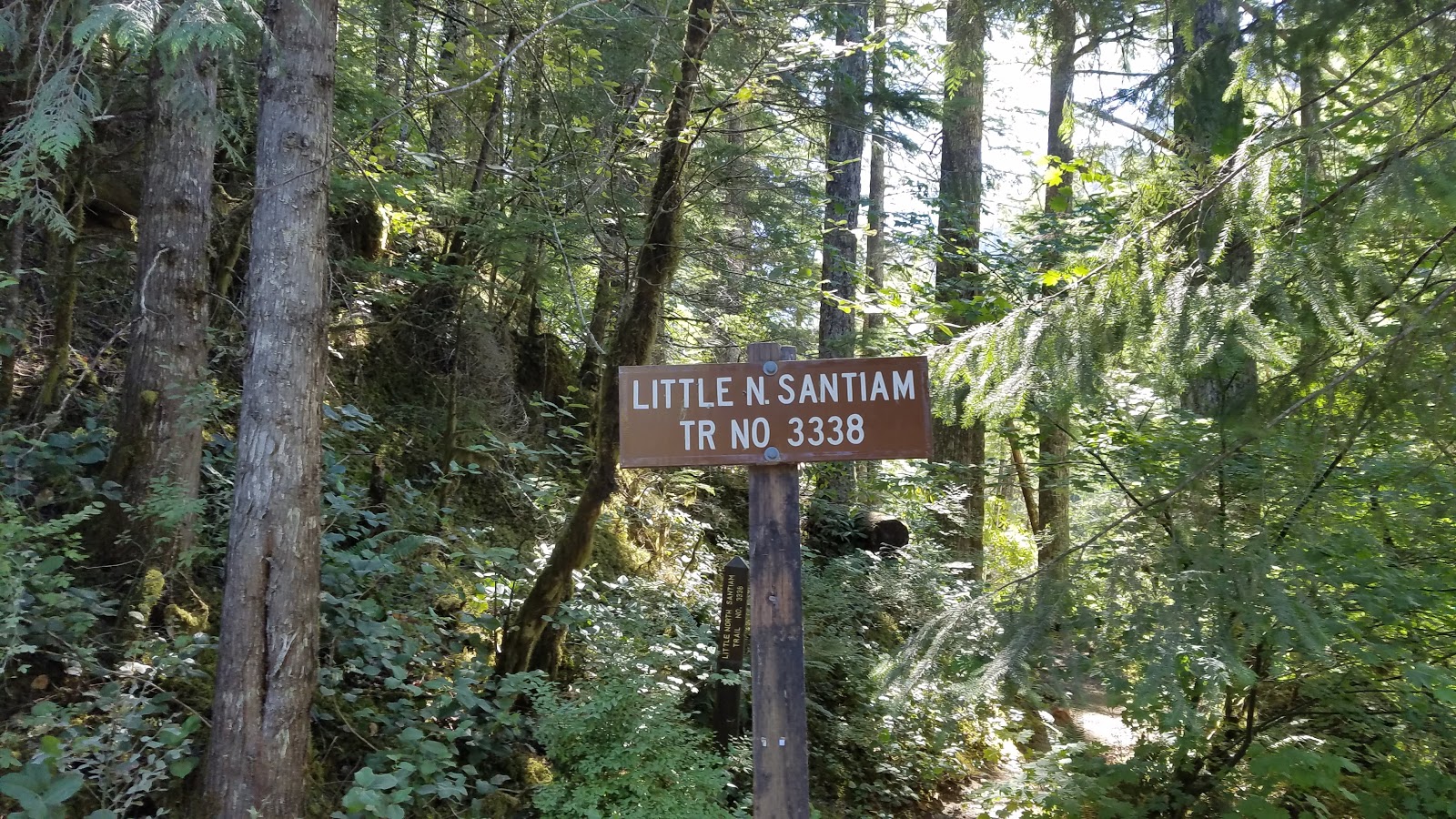 Shady Cove Campground