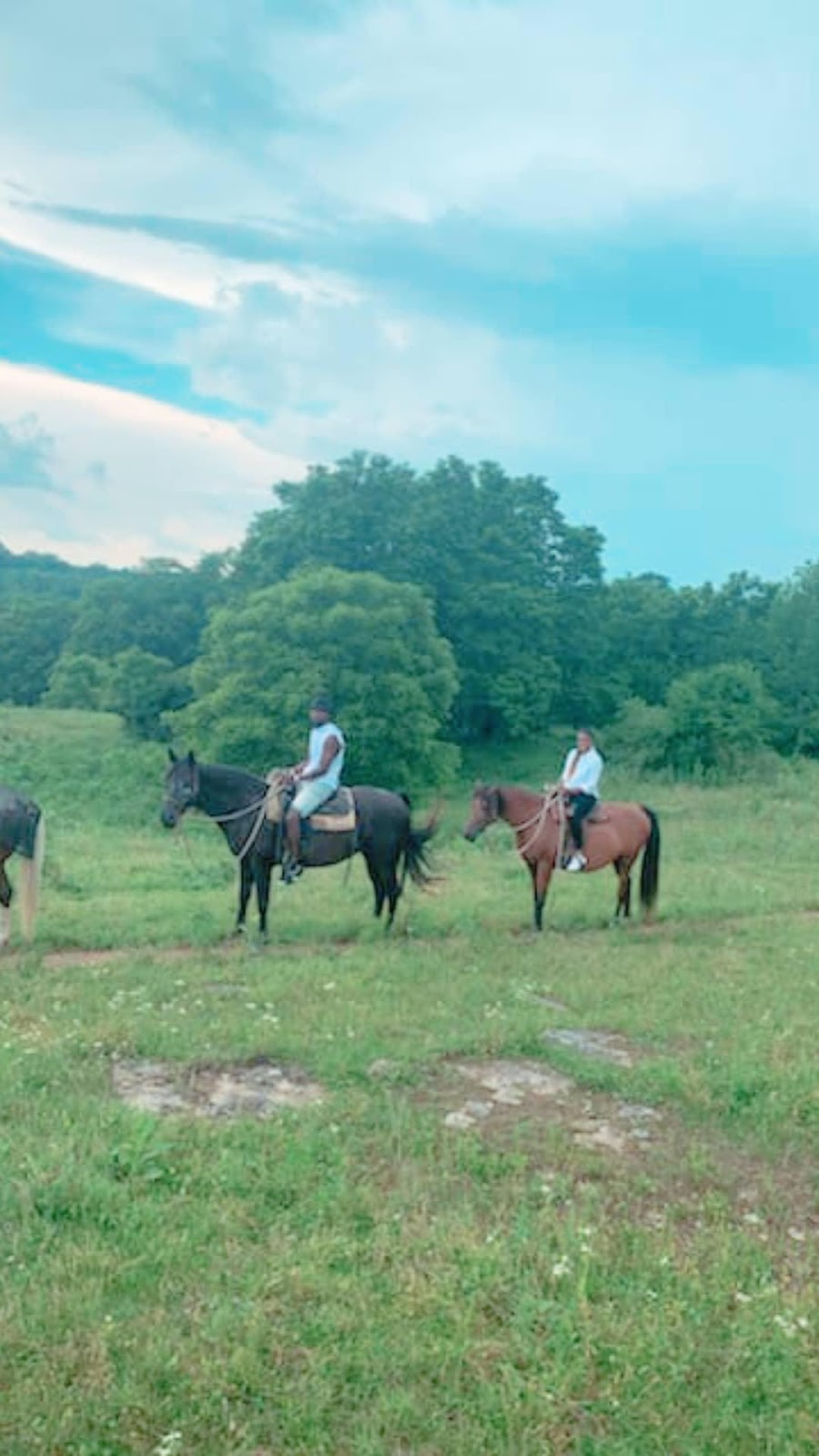 Deer Run Stables LLC