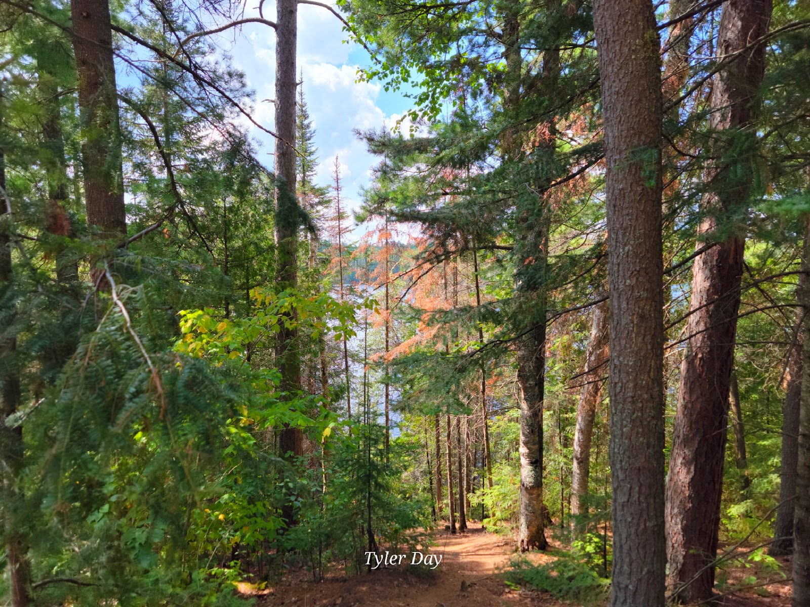 Sawbill Lake Campground