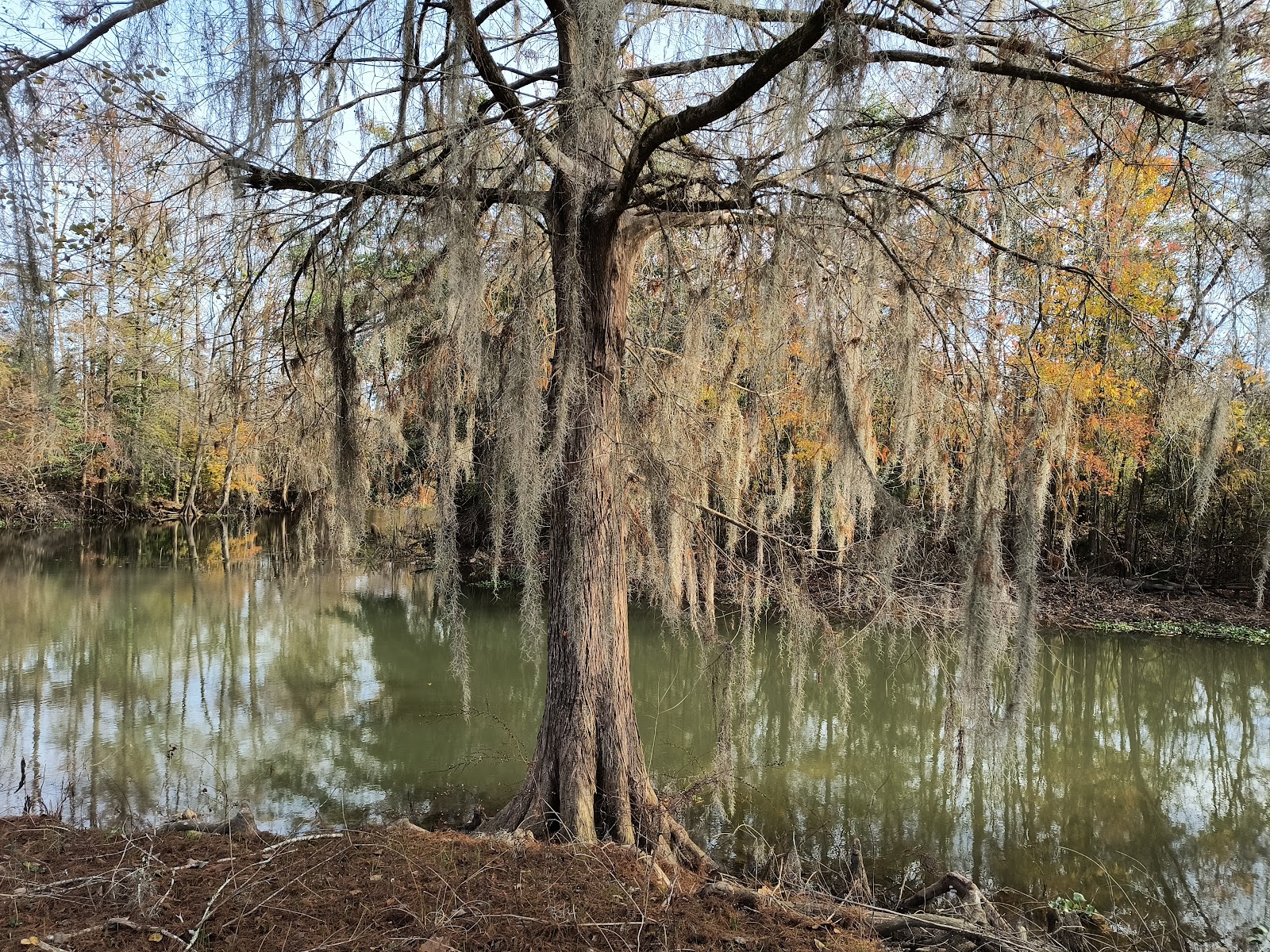 Hales Landing Campground