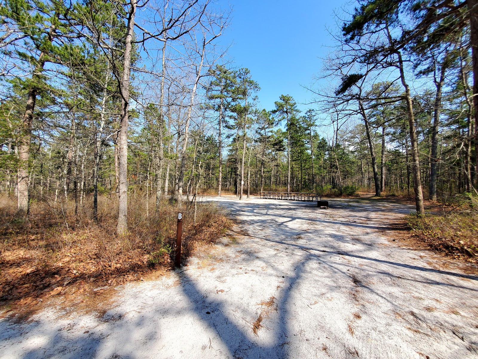 Brendan T Byrne State Forest Campground