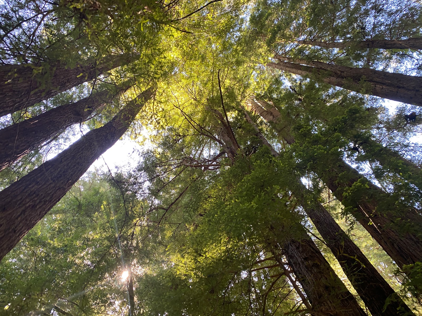 Paul M. Dimmick Campground