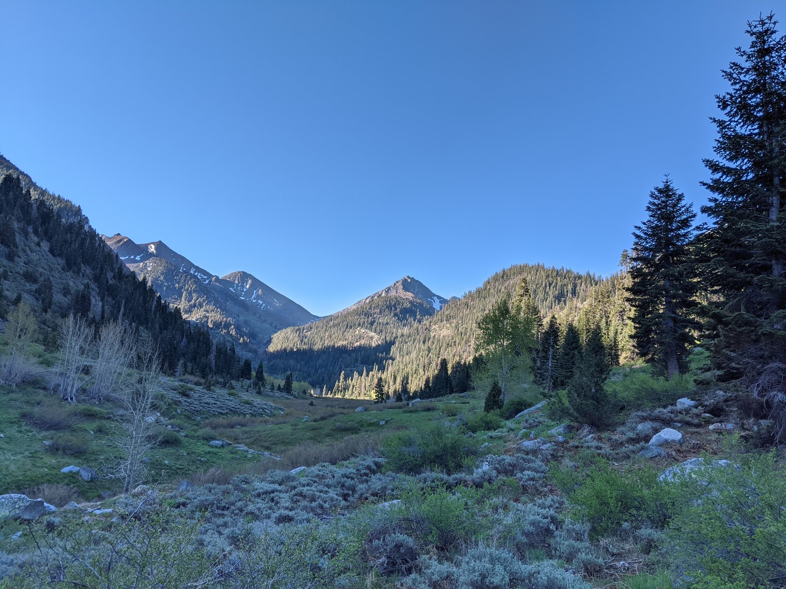 Cold Springs Campground (CA)