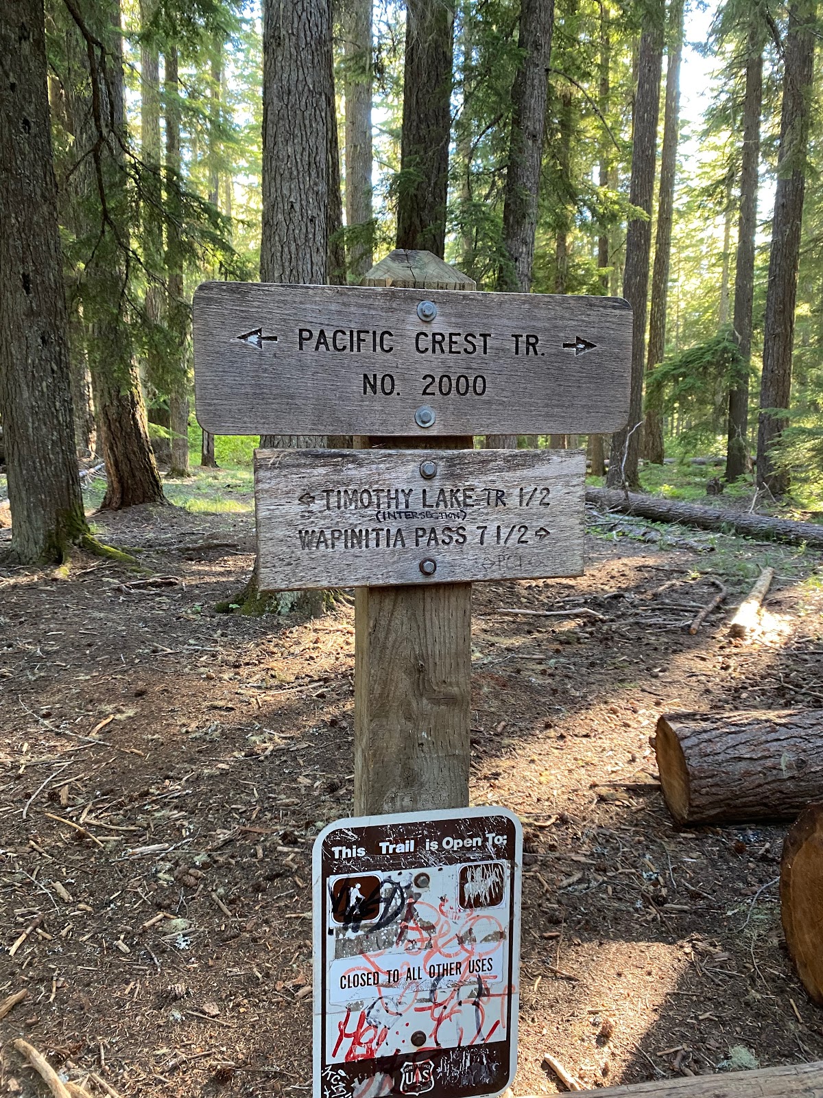 Cove Timothy Lake Campground