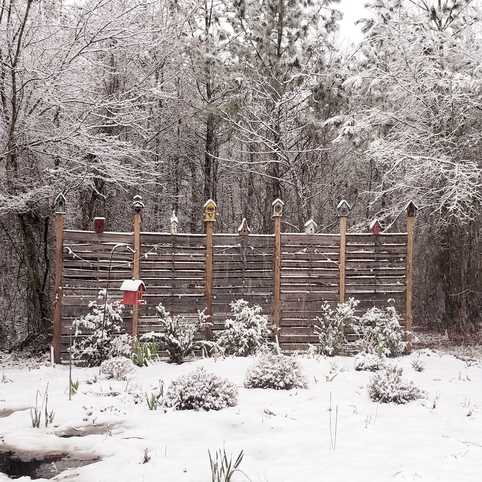 Simple Times RV Park and Campground