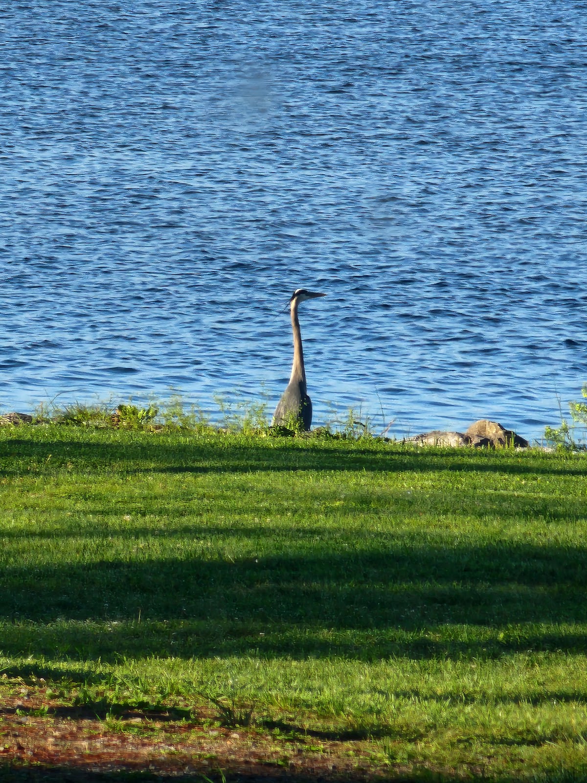 Crab Orchard Lake Campground