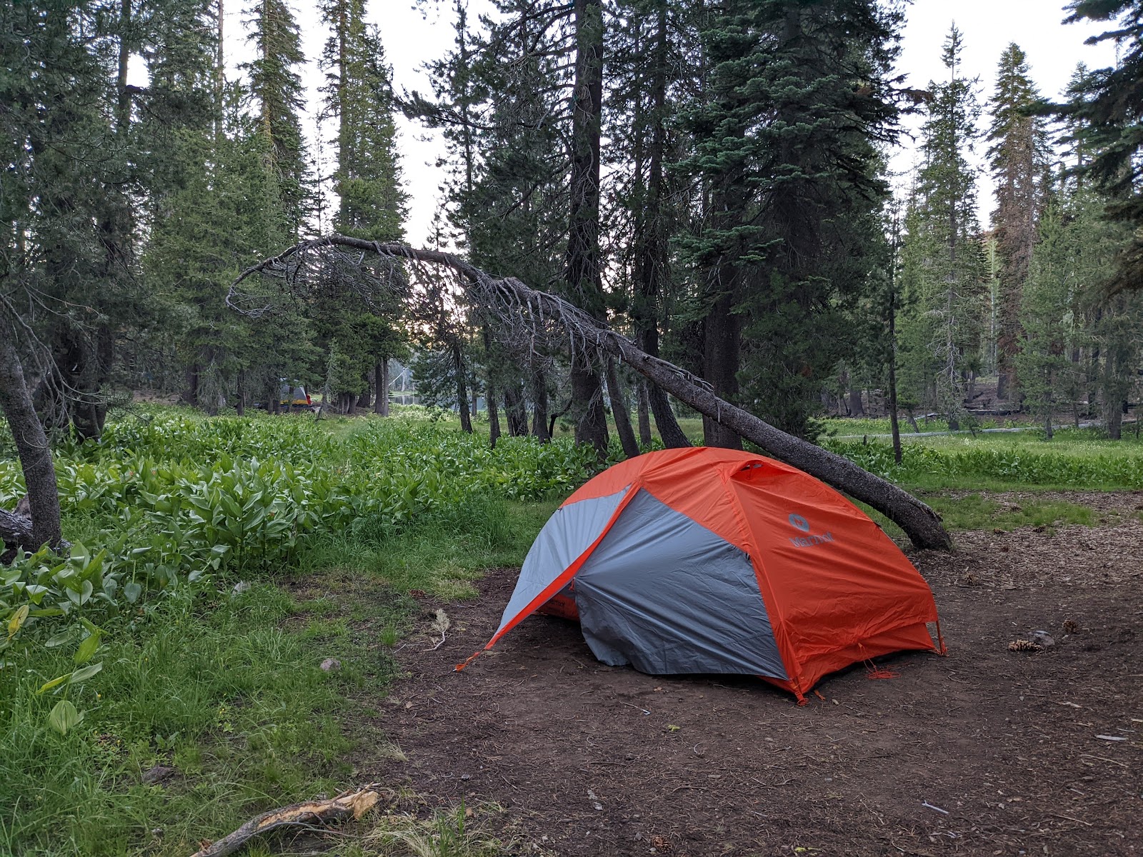 Summit Lake South Campground