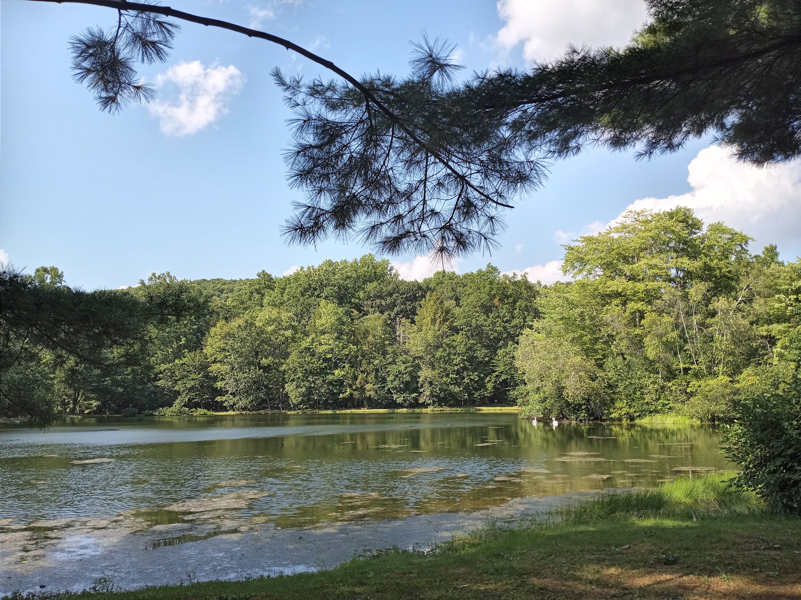Red Ridge Lake Campgrounds