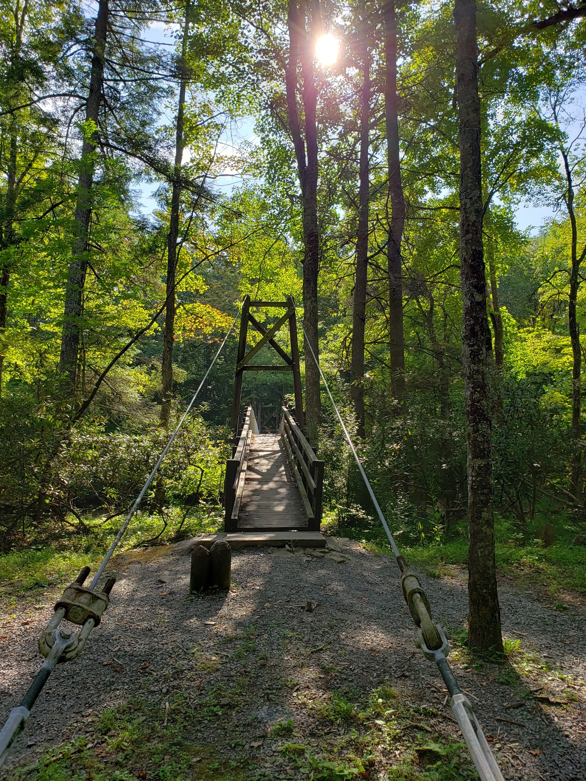 Monongahela National Forest Blue Bend Campground