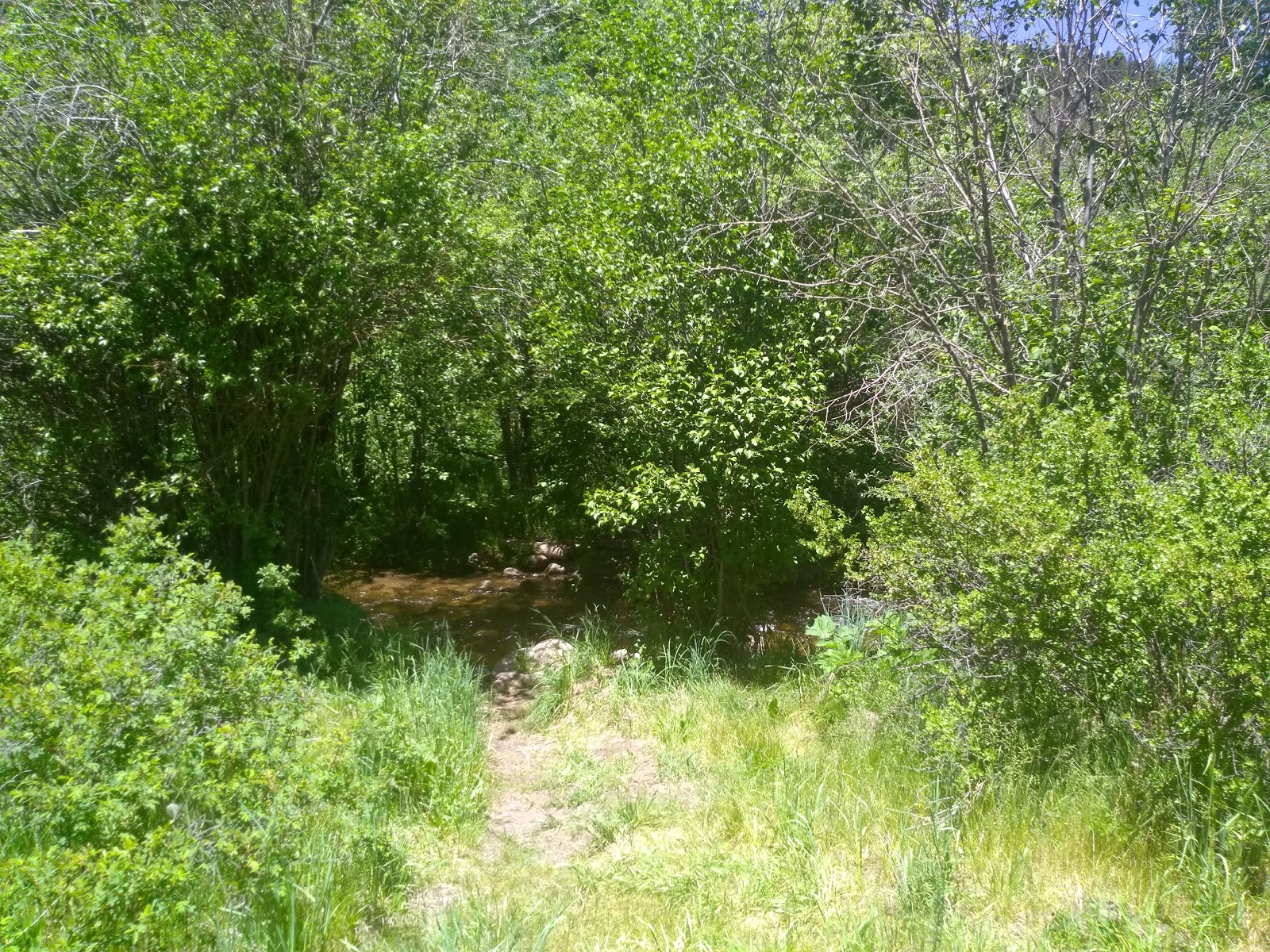 Holy Ghost Group Area Camping