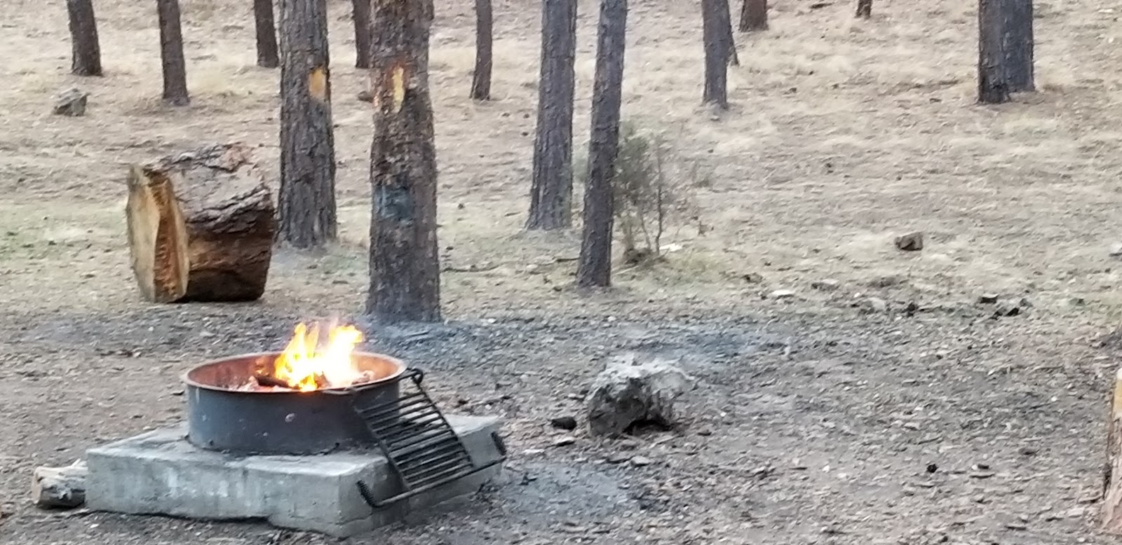 Clints Well Campground