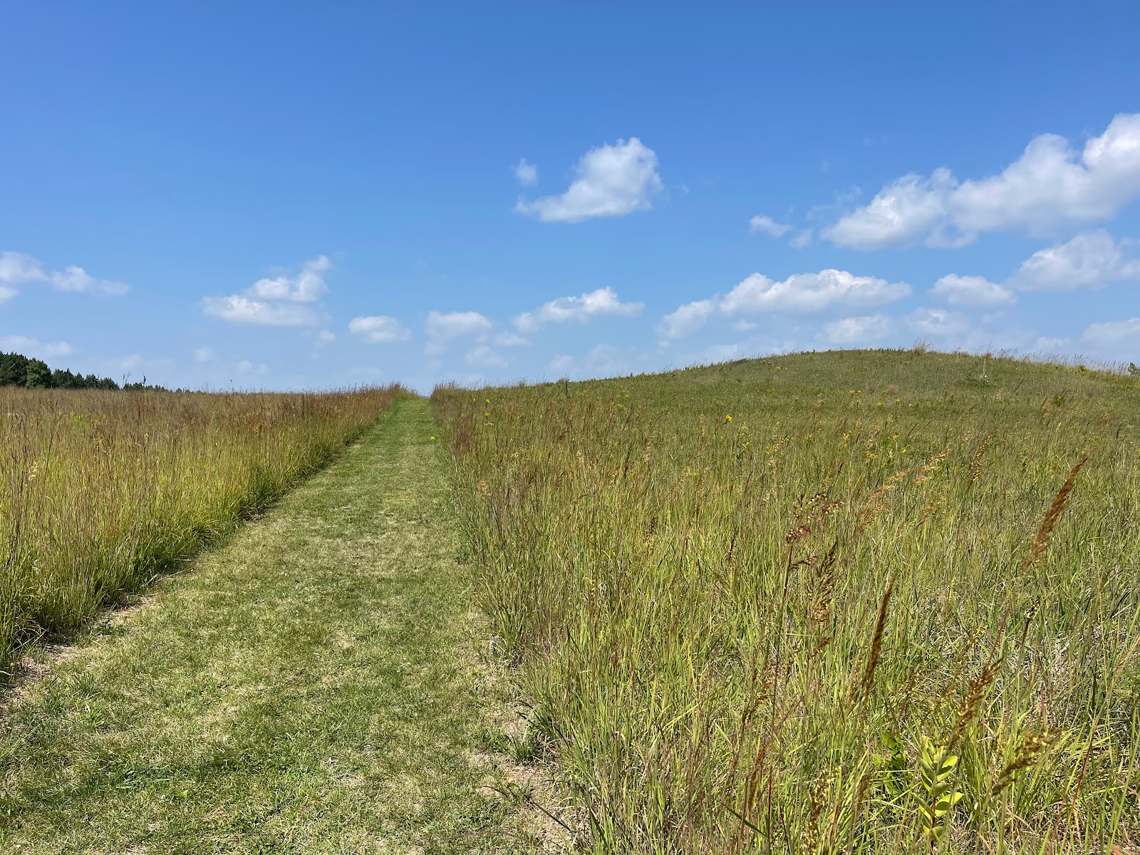 Lower - Lake Carlos State Park