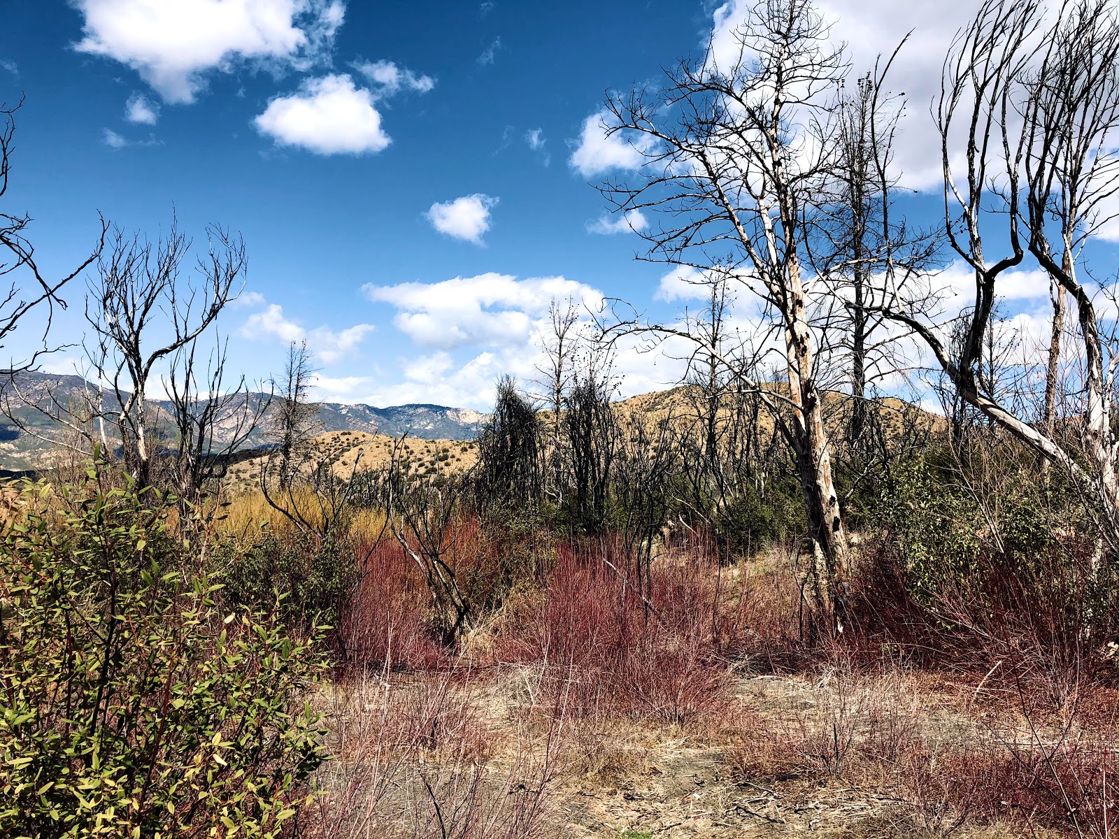 Rose Valley Campground