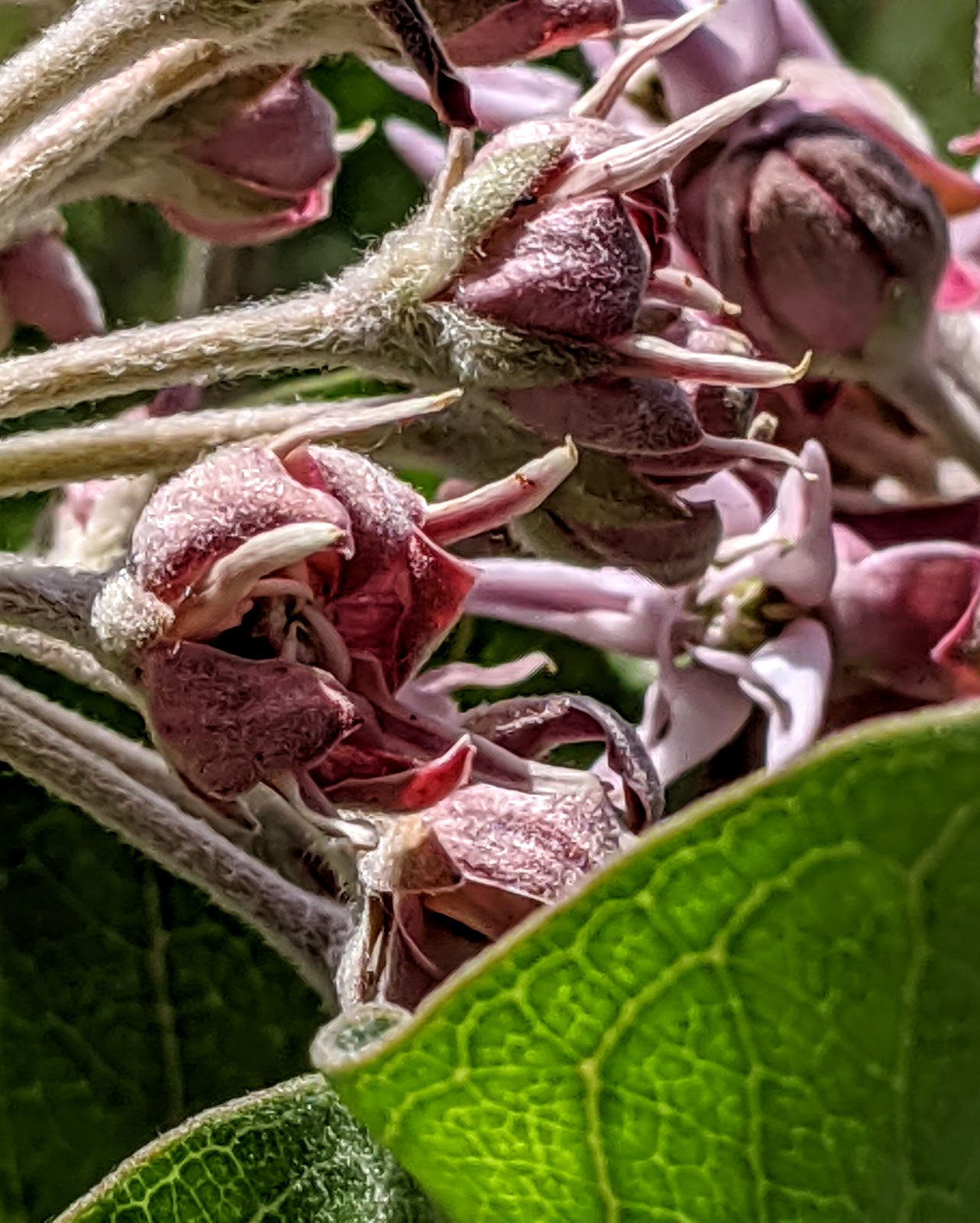 Worland Cowboy Campground
