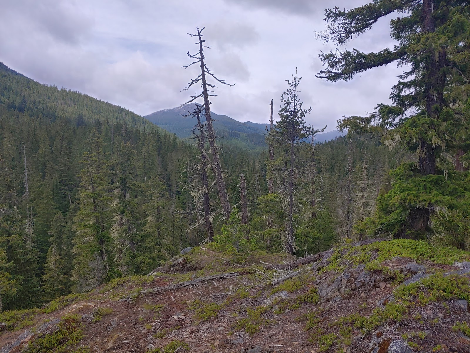 Lake Creek Campground