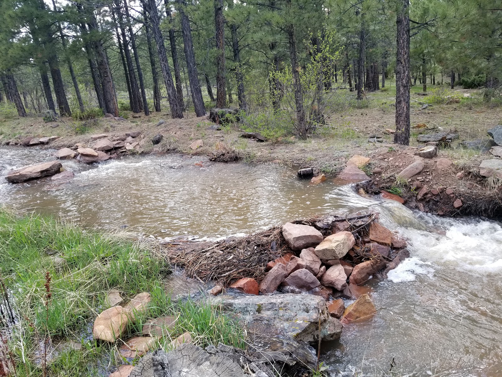 Skull Creek Campground