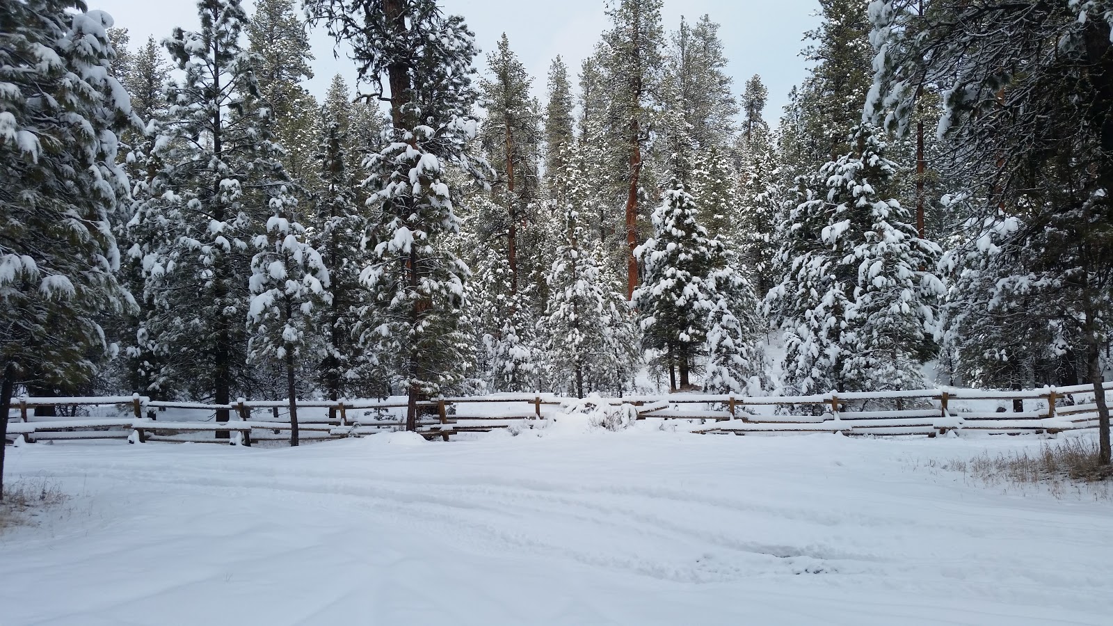 Buck Spring Campground