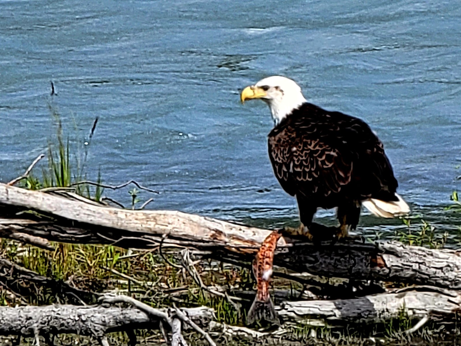 King For A Day Charters And Campground