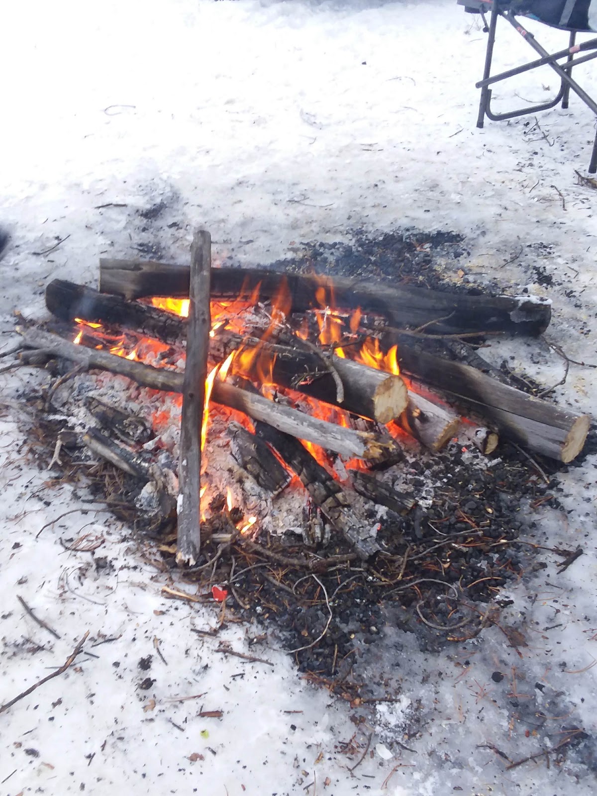 Swamp Wells Horse Camp