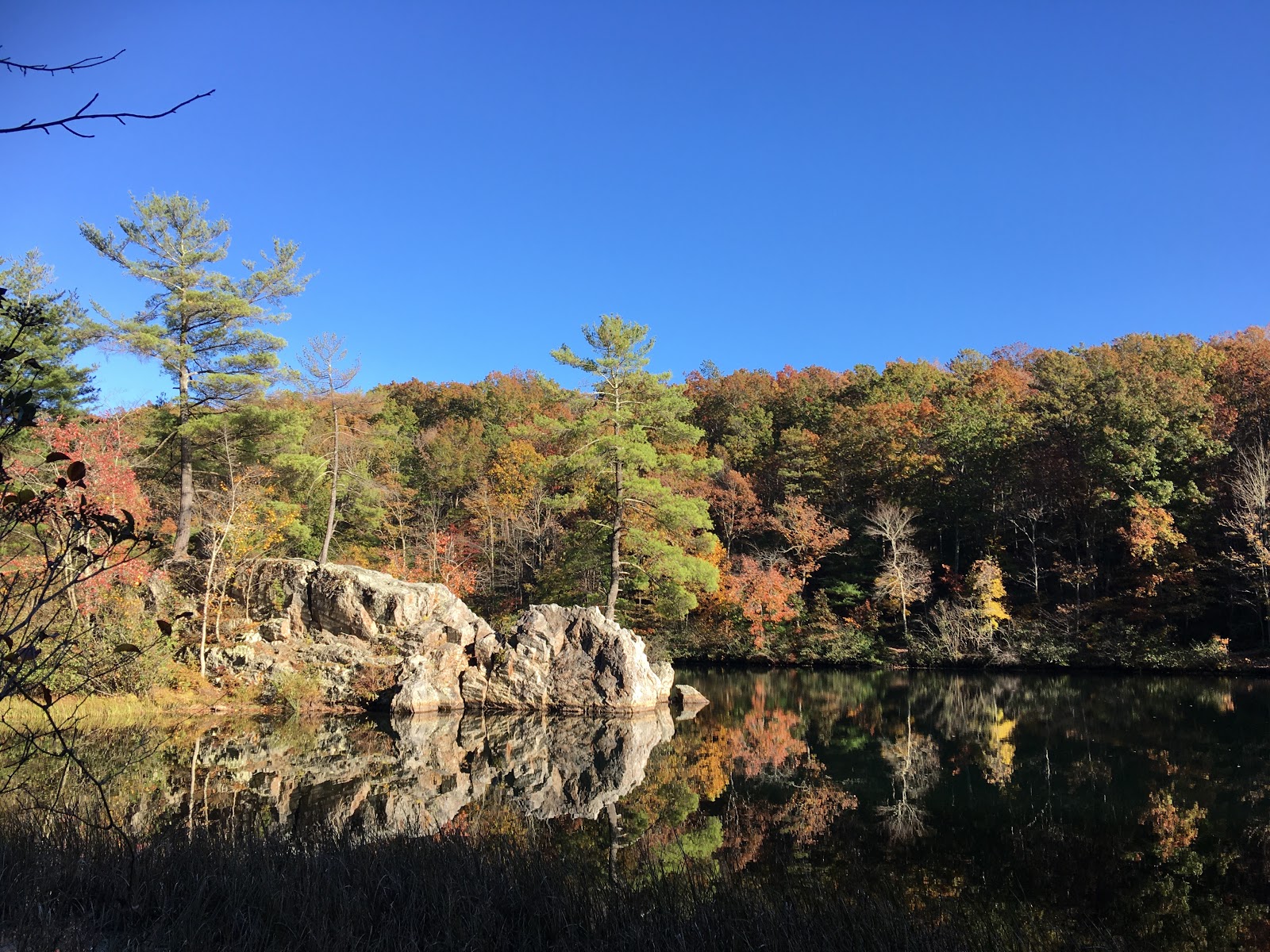 George Washington/Trout Pond