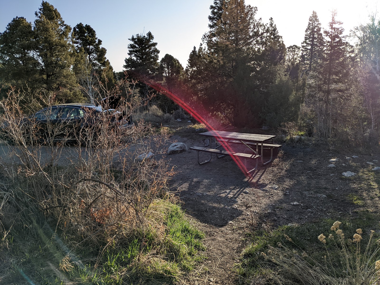 Lower Lehman Creek - Great Basin National Park