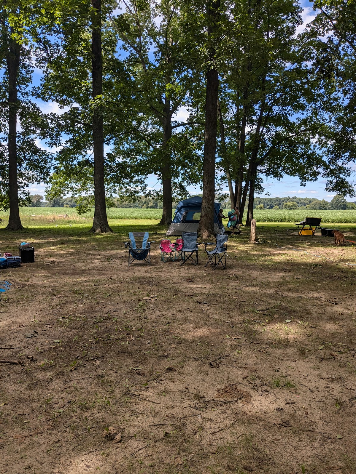 Twin Pine Campground & Canoe