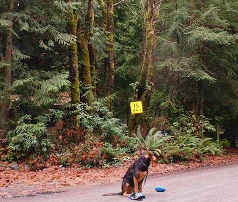 Port Susan Camping Club