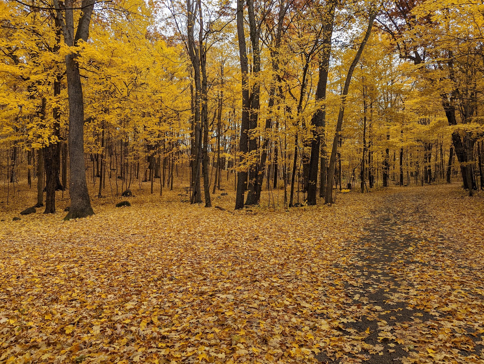 Kettle Moraine State Forest- Pike Lake Unit