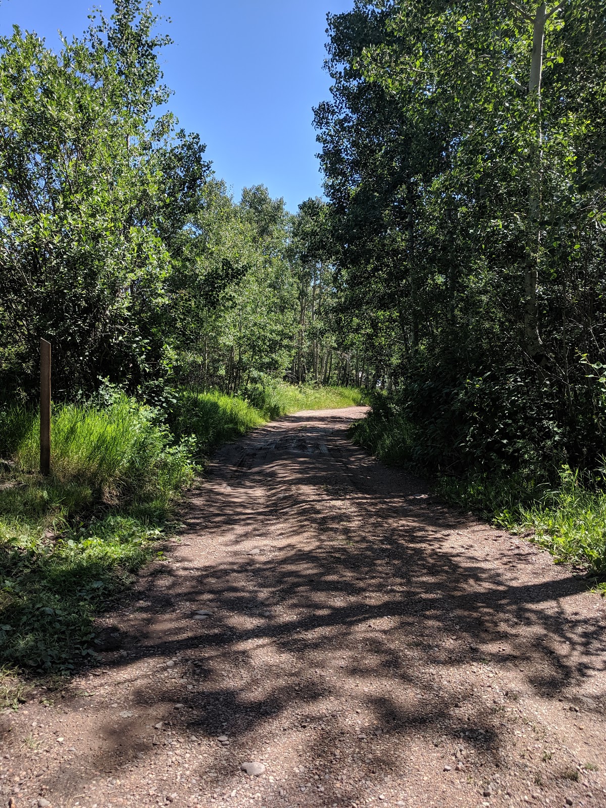 Lake Creek Campground