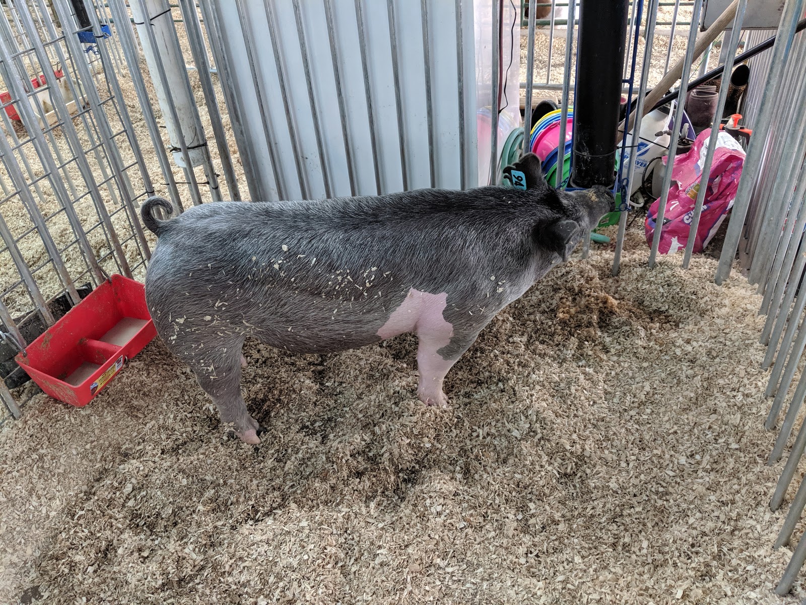 Klamath County Fairgrounds