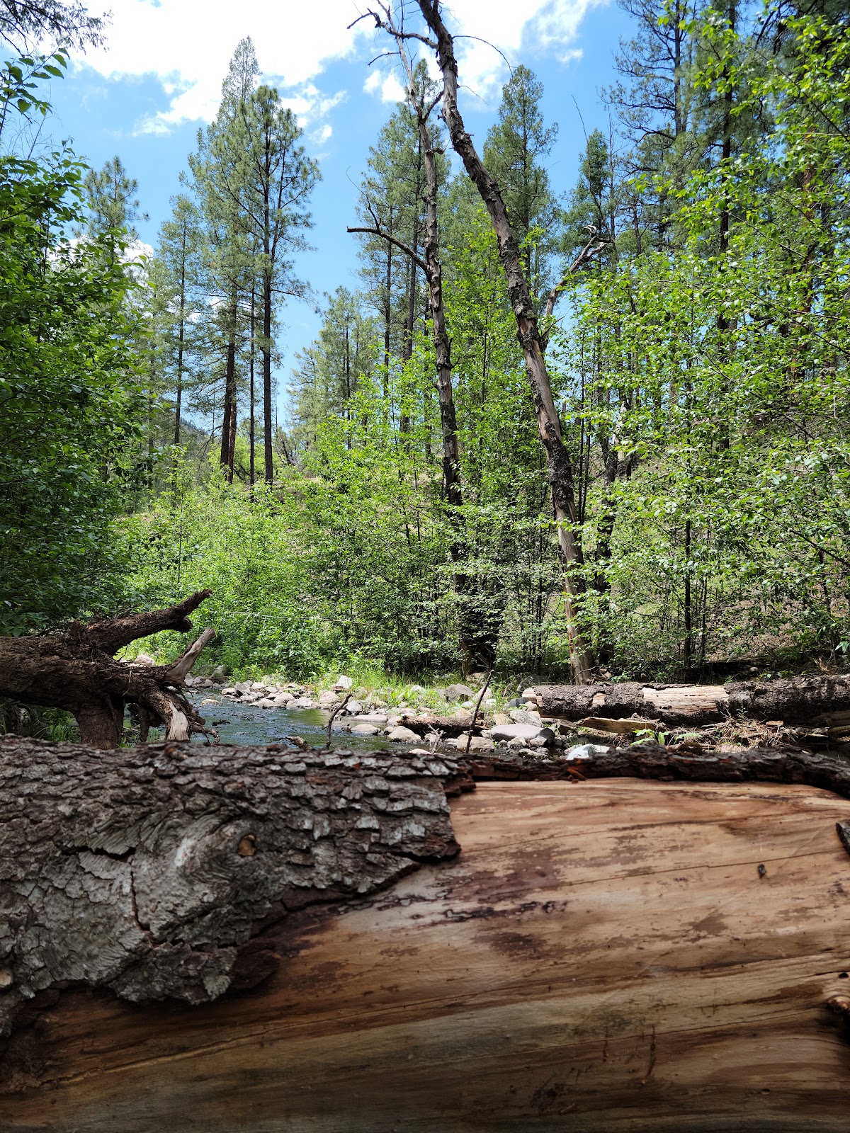 Gallinas Upper Campground