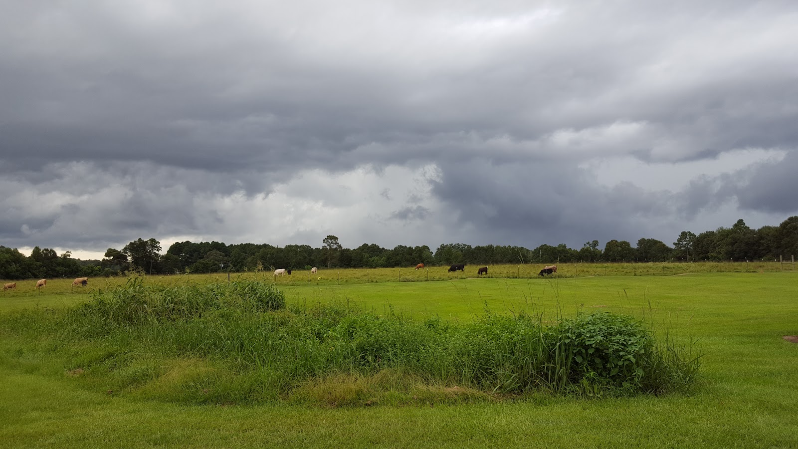 Rolling Hills RV Resort