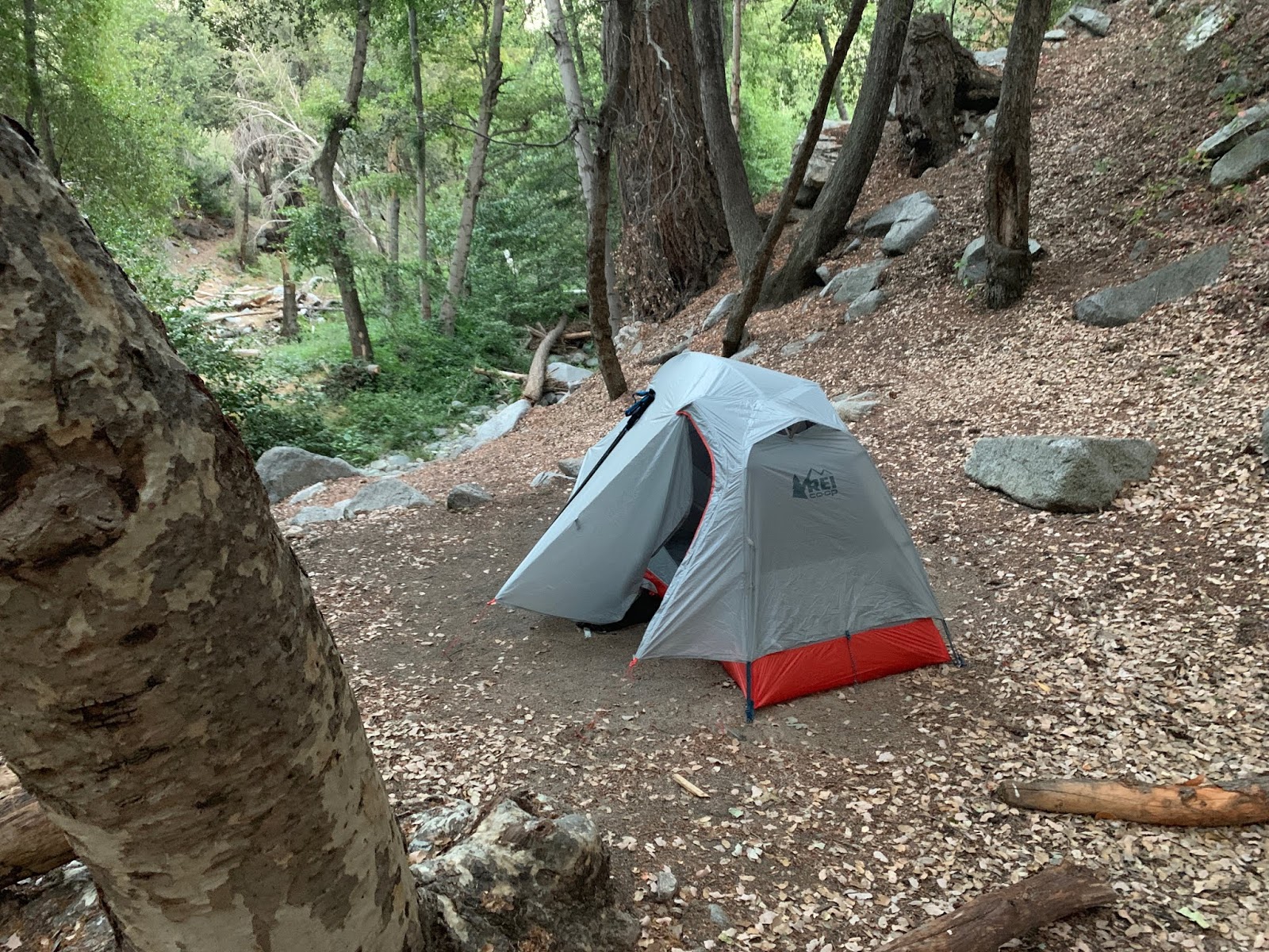 West Fork Trail Campground