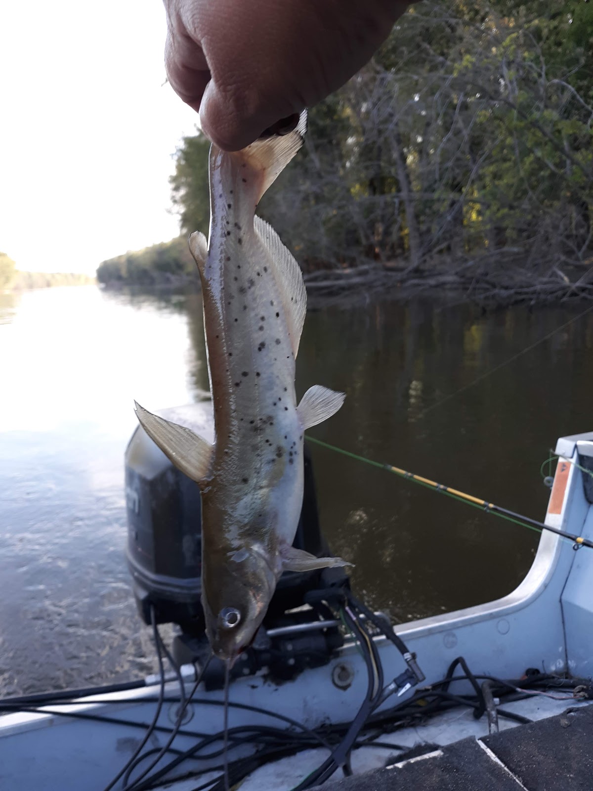 Henderson County State Fish and Wildlife