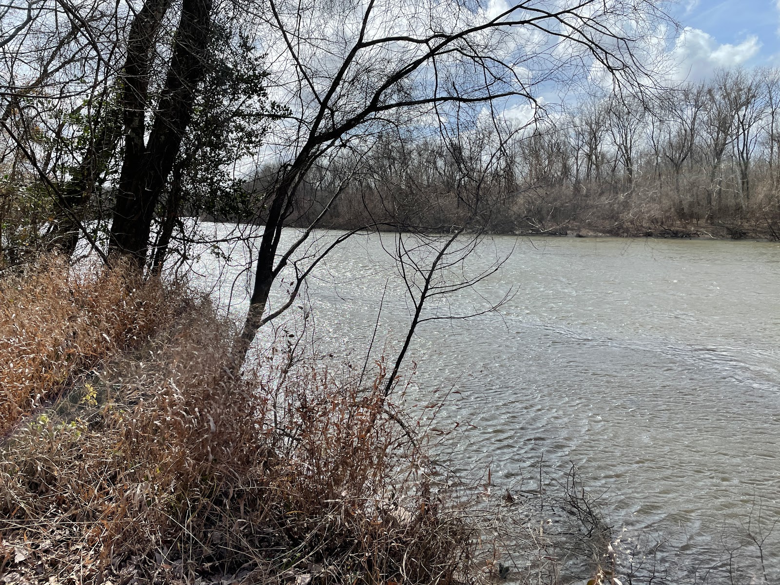 Marsh Wildlife Management Area