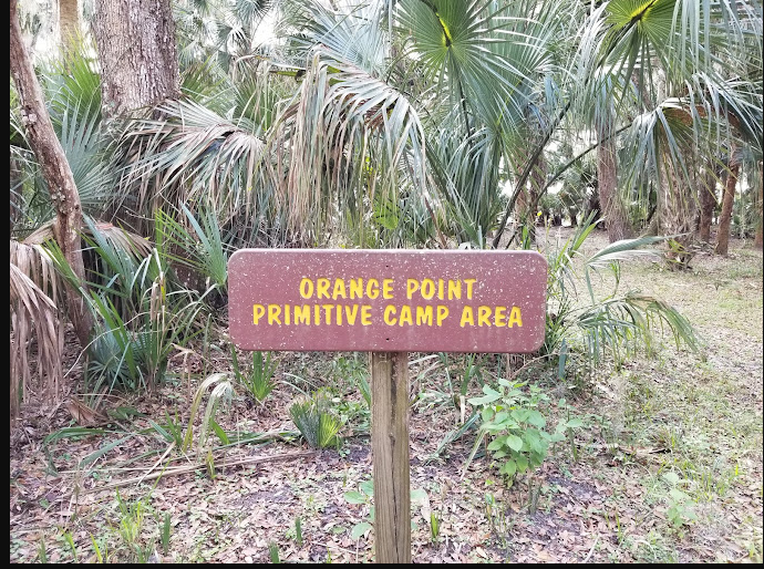 Orange Point - Welaka State Forest