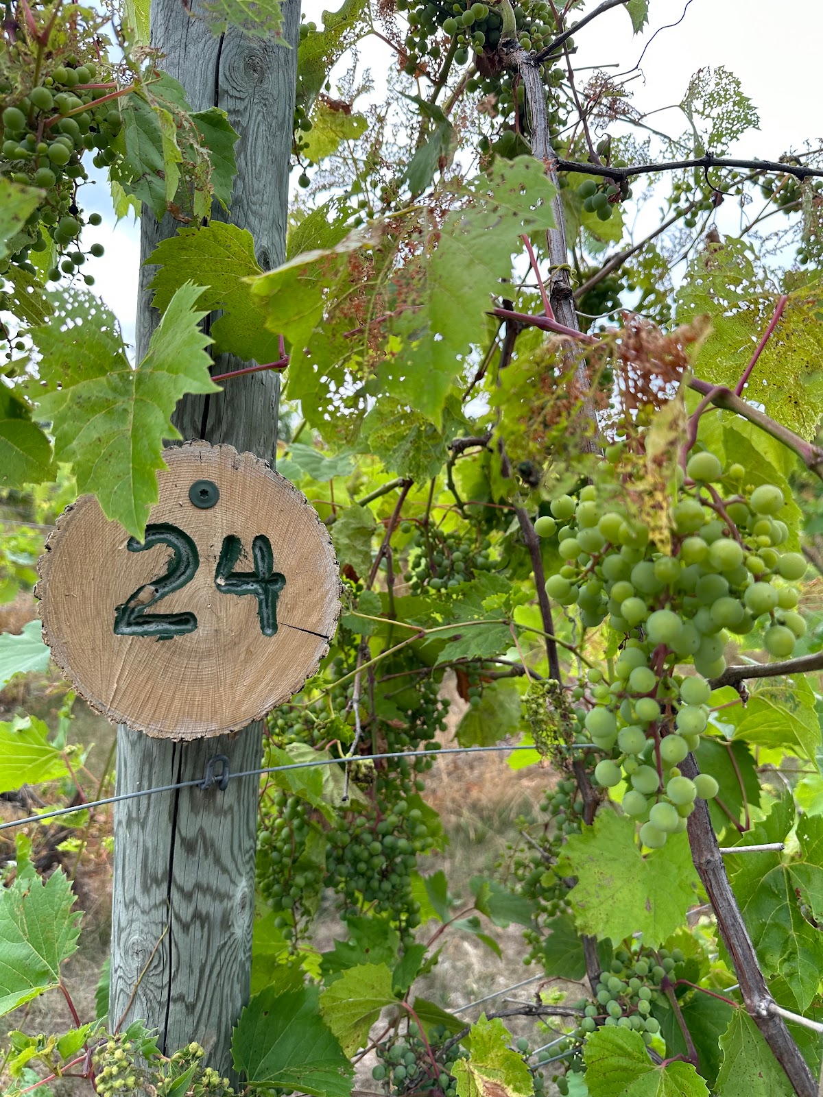 Wildwood RV Park and Campground