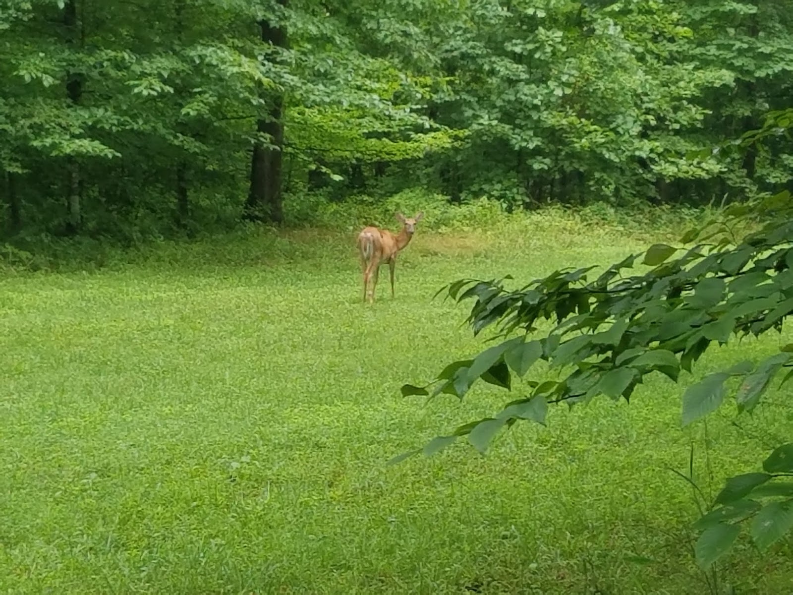 Mammoth Cave Backcountry Camping