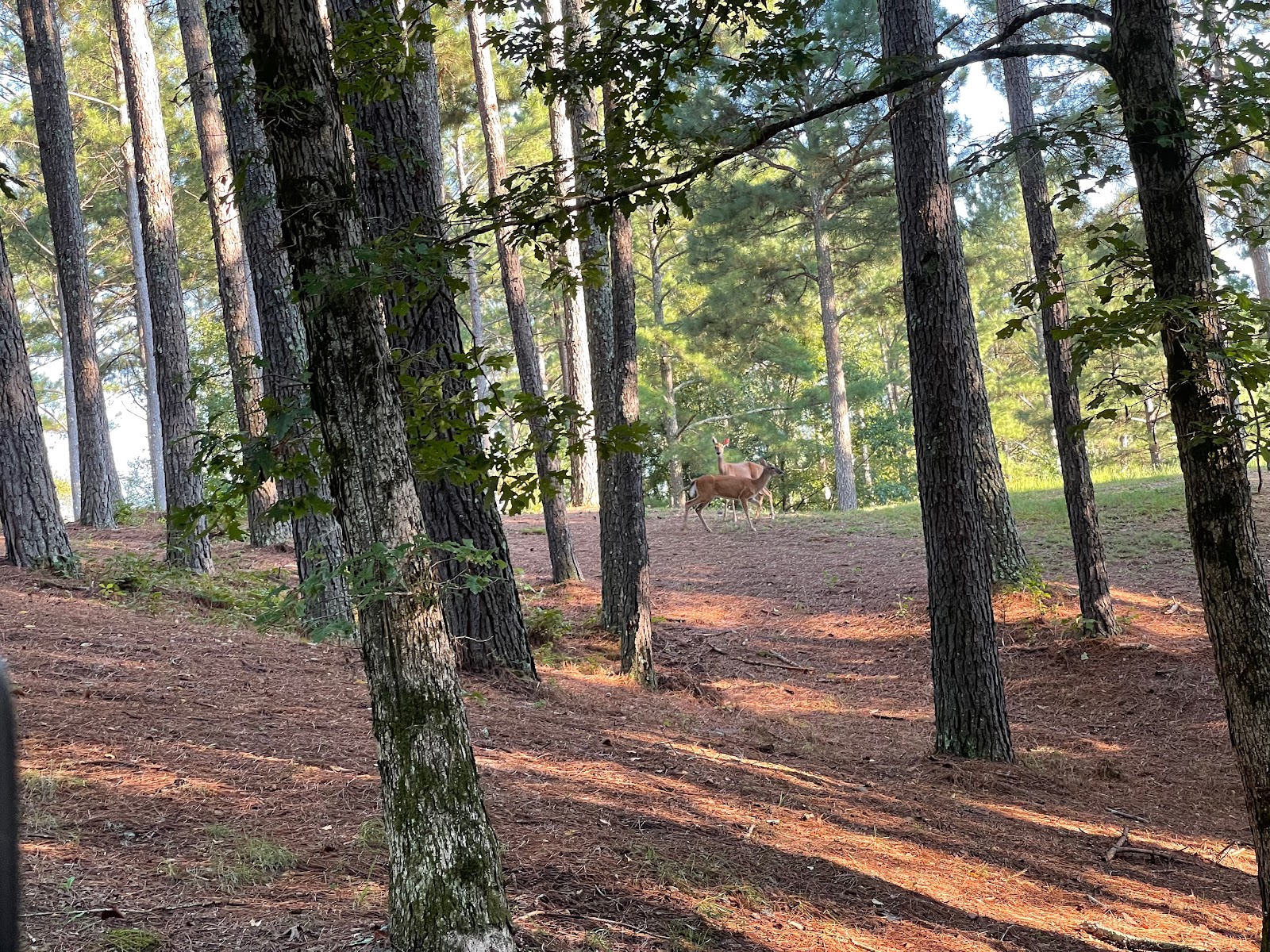 Rogers Creek RV Park