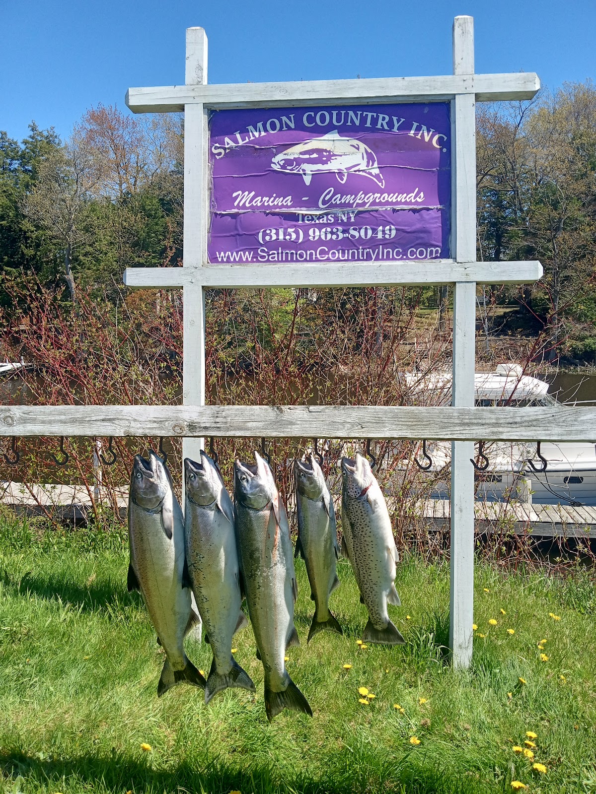 Salmon Country Inc.