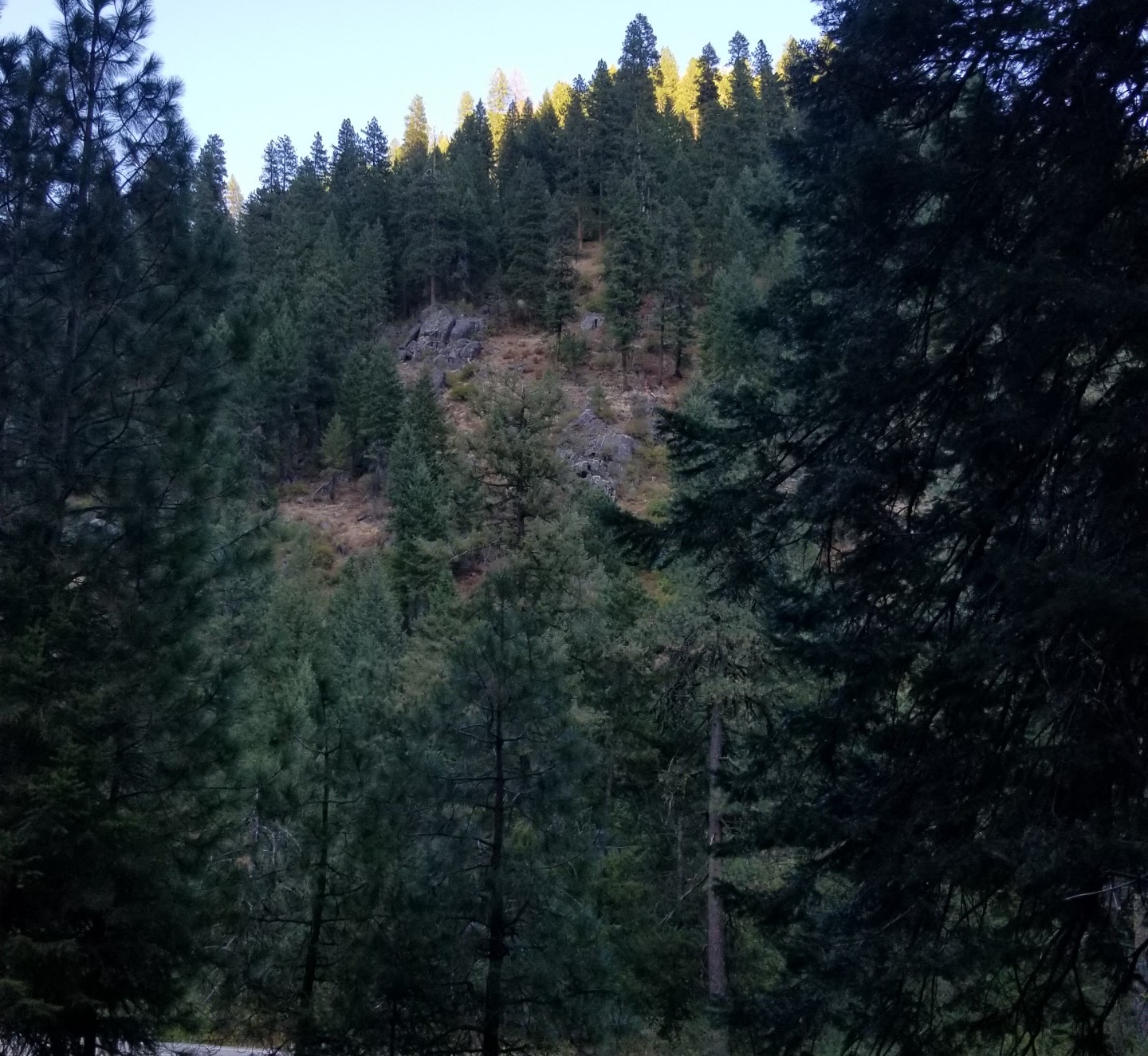 Swinging Bridge Campground