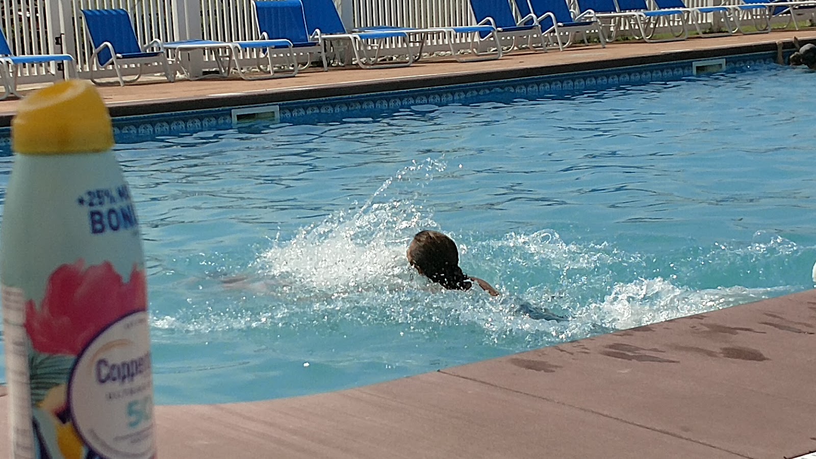 Yogi Bear's Jellystone Park, Milford Area - Delaware Beaches DE