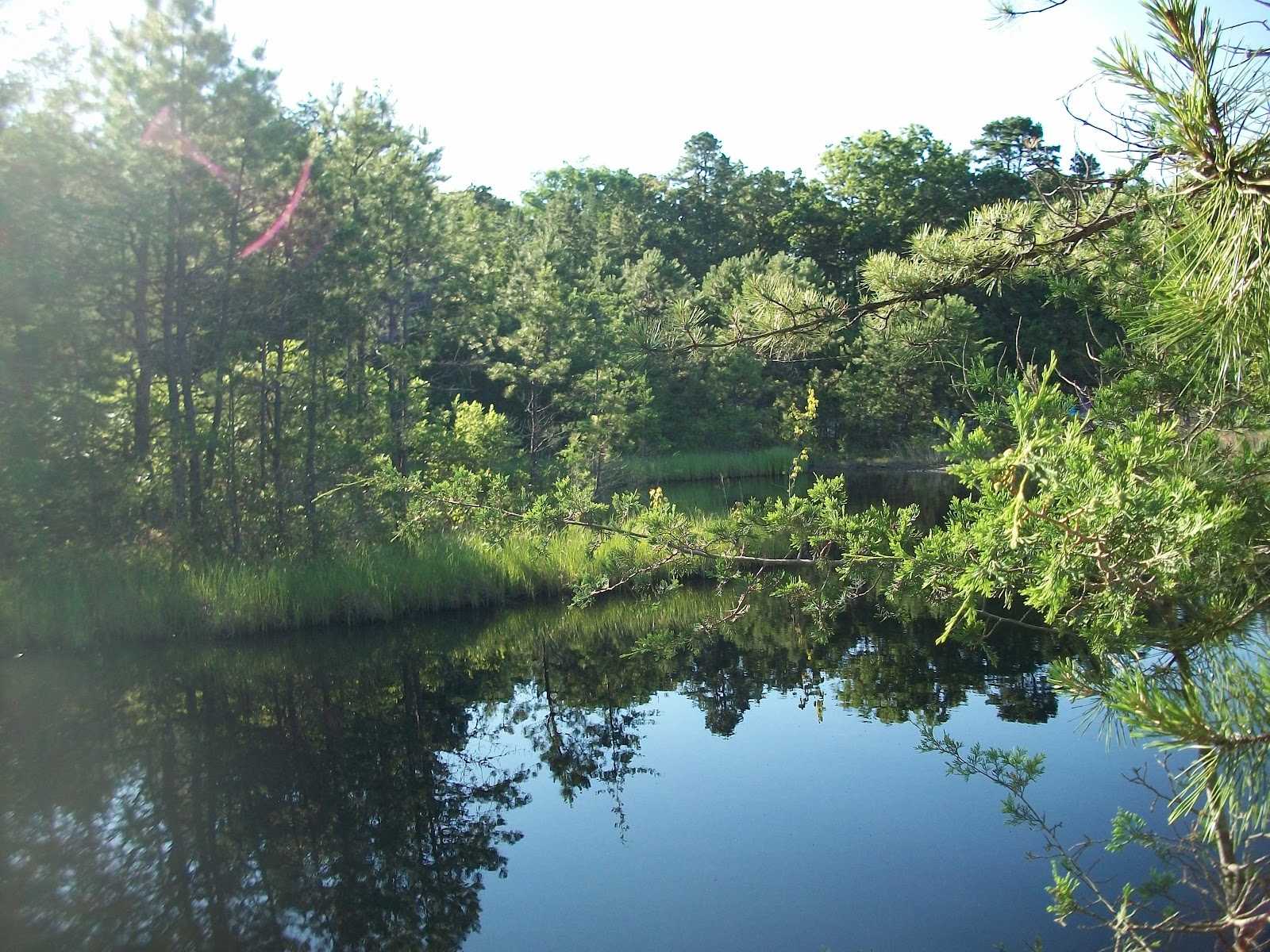 Belhaven Lake Resort Campground